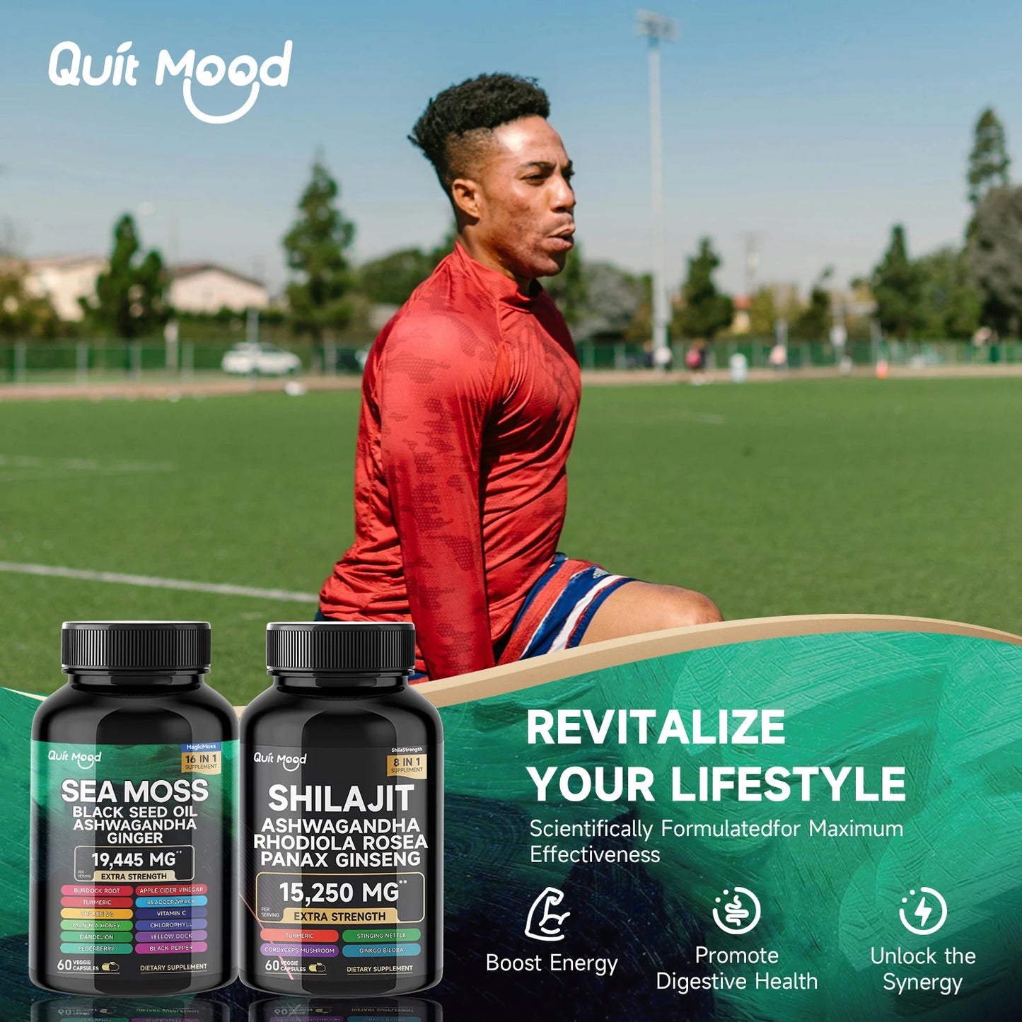 Sea Moss and Shilajit Bundle 120 Capsules with Black Seed Oil Ashwagandha Ginger Burdock Root Turmeric and Black Pepper