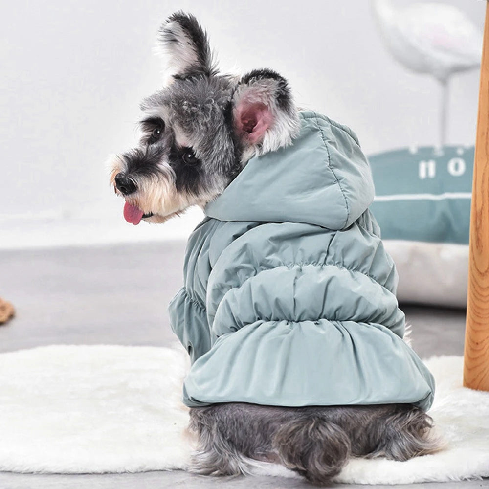 New Princess Dog Pet Warm Dress Hoodie Floral Bubble Skirt Girl Dog Cat Winter Coat Outfit Clothes 6 Sizes