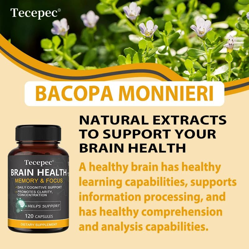 Brain Health Supplement Natural Capsules with Bacopa Monnieri Improve Memory and Focus Support Cognitive Clarity