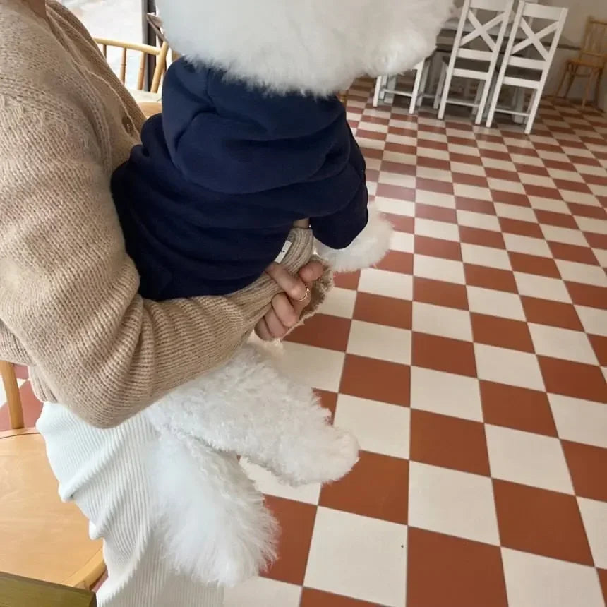 Letter Hoodie Pet Clothing Dogs Fashion Cotton Dog Clothes Costume Small French Bulldog Print Spring Autumn Gary Boy Mascotas