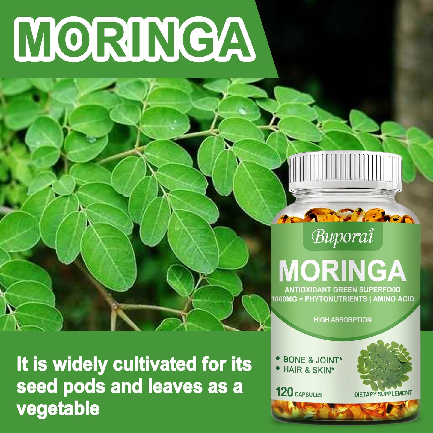 Moringa Immune System Energy and Metabolism Natural Anti-Inflammatory Helps Detox and Fat Burn 120 Capsules
