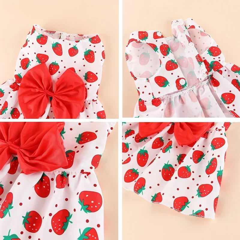 Puppy Skirt Spring Summer Dog Princess Dress Pet Skirt Cute Dog Dress Bow Lace for Small Medium Puppy Poodle Chihuahua Dog Cloth