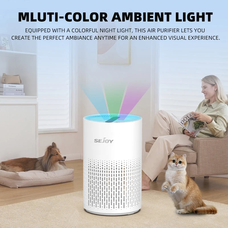 Sejoy Air Purifiers for Bedroom H13 True HEPA Air Filter,4 Speeds,Timer,Quiet Air Cleaner for Home, Office, Living Room