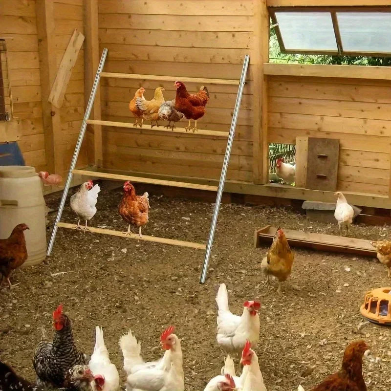 Chicken Coop Roosting Perch Essentials：Perfect for Backyard Poultry, Easy Installation for Chickens (55' L x 40' W)