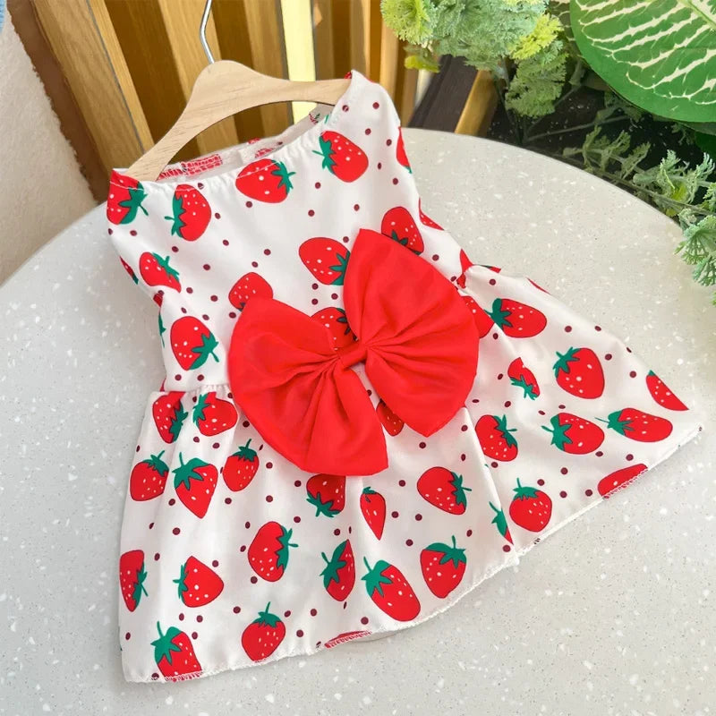 Puppy Skirt Spring Summer Dog Princess Dress Pet Skirt Cute Dog Dress Bow Lace for Small Medium Puppy Poodle Chihuahua Dog Cloth